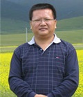金燕華老師