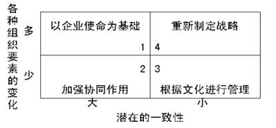 戰(zhàn)略穩(wěn)定性與文化適應(yīng)性圖