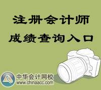 2014年注冊(cè)會(huì)計(jì)師成績(jī)查詢(xún)?nèi)肟? width=