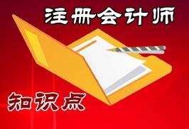 注冊會計師風險管理知識點