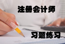 注冊會計師練習(xí)題精選