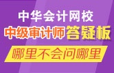 中級審計師答疑版 哪里不會問哪里