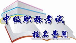 廣西省2016年中級會計職稱考試報名費用