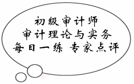 初級審計師《審計理論與實務》易錯題點評