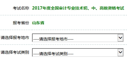 2017年審計師考試報名入口開通