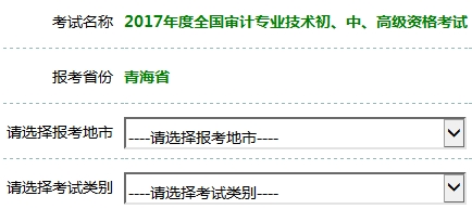 2017年審計師考試報名入口開通