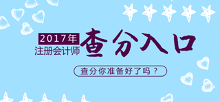 2017年注冊會計(jì)師考試各地成績查詢?nèi)肟趨R總