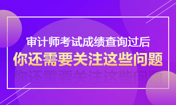 2017年審計師考試成績查詢過后不得不關(guān)注的事情—考后資格審核