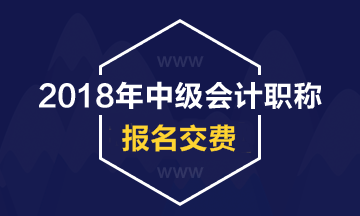 黑龍江2018年中級(jí)會(huì)計(jì)職稱考試報(bào)名費(fèi)用及交費(fèi)方式