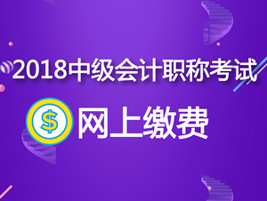 廣東省直2018年中級(jí)會(huì)計(jì)職稱網(wǎng)上繳費(fèi)