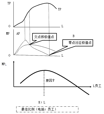 總產(chǎn)量、平均產(chǎn)量和邊際產(chǎn)量曲線