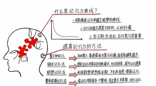 “注會知識點學(xué)完就忘怎么辦？如何能提高記憶力？