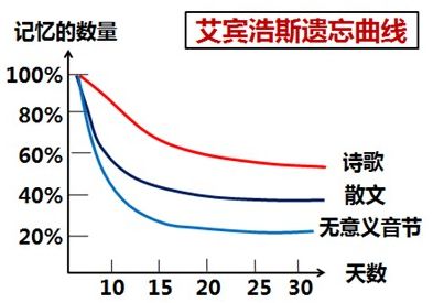 “注會知識點學(xué)完就忘怎么辦？如何能提高記憶力？