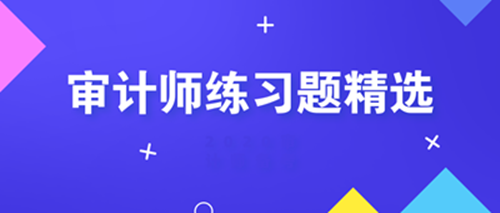 初級審計師練習題精選