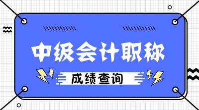 湖北2020年會計(jì)中級考試查分入口公布了嗎？