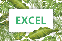 excel