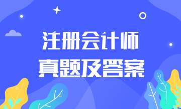 2019年注冊會計師會計考試試卷及答案