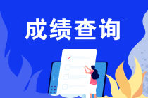 什么條件能申請2019注會成績復(fù)核？