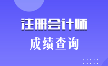 2019海南三亞注會成績什么時候出來？