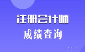 注會(huì)考試什么時(shí)候可以查詢成績(jī)？