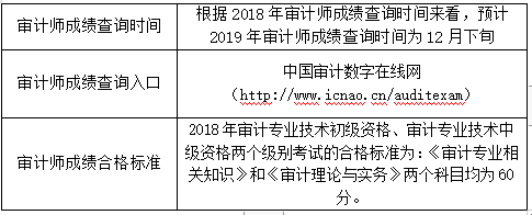 審計(jì)師成績(jī)查詢