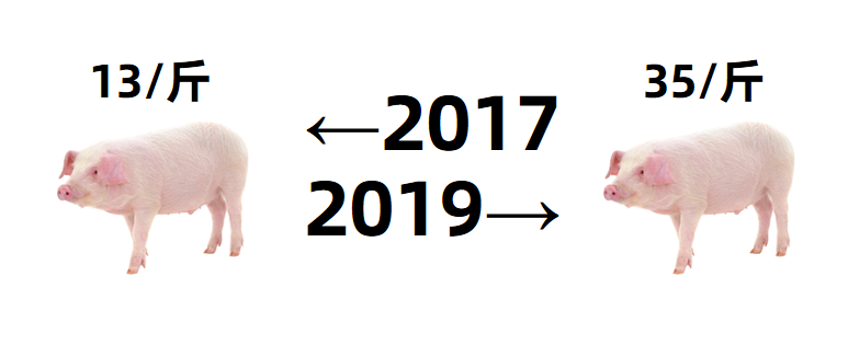 20172019