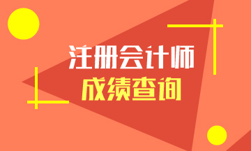 廣東深圳注冊會計師考試成績查詢