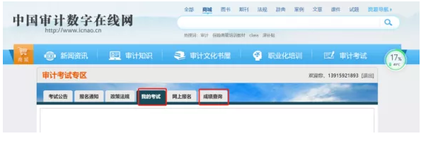 審計(jì)師成績(jī)查詢(xún)