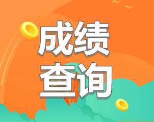 初級經(jīng)濟(jì)師2019成績查詢時間公布了嗎？