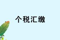 私人賬戶發(fā)工資？個(gè)稅匯算清繳難逃預(yù)警！