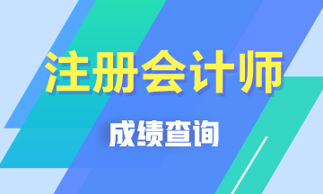 2019年廣東深圳注會(huì)成績(jī)查詢