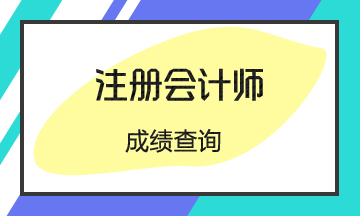 2019江西CPA考試成績查詢?nèi)肟谝验_通！