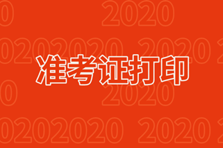 2020審計師準(zhǔn)考證打印