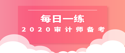 2020審計(jì)師每日一練