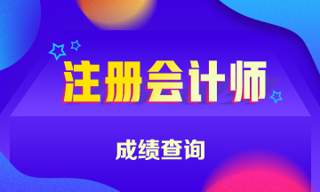 浙江杭州注冊會計師成績查詢