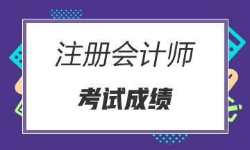 2019年青海西寧注冊會計師什么時候能查成績？