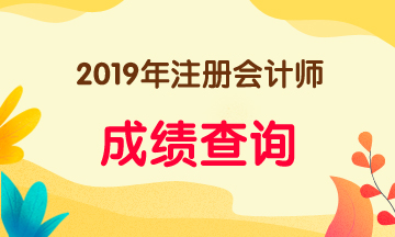 安徽2019年注冊會計師成績查詢