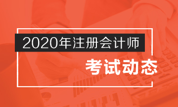 2020年cpa的考試時(shí)間公布啦！