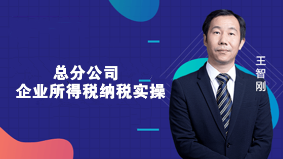 總分公司企業(yè)所得稅納稅實(shí)操