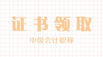 青海2019年會(huì)計(jì)中級(jí)證書領(lǐng)取時(shí)間