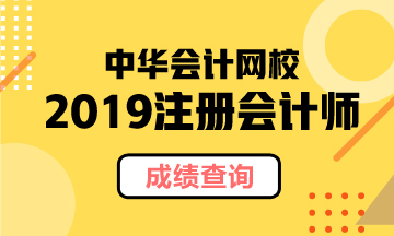 北京2019年CPA官網(wǎng)成績查詢時間