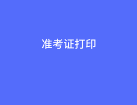 審計師準(zhǔn)考證打印