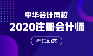 海南2020年注會什么時候考試？