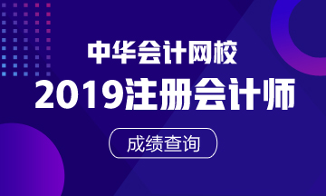 注會專業(yè)階段廣西北海成績查詢