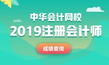 河南2019年cpa成績查詢?nèi)肟? suffix=