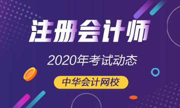 2020年cpa考試時間