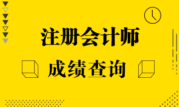 吉林2019年注冊會(huì)計(jì)師官網(wǎng)成績查詢?nèi)肟谑悄膫€(gè)？