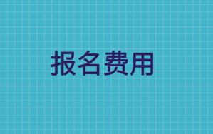 2020中級審計師報名費用