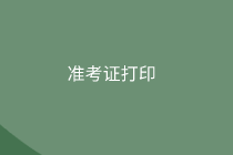 審計(jì)師準(zhǔn)考證打印信息