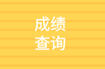 2020中級(jí)審計(jì)師成績(jī)查詢(xún)信息